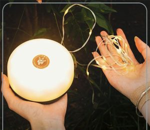 چراغ ریسه دار شارژی 8 متری 