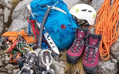 طبیعت‌گردی