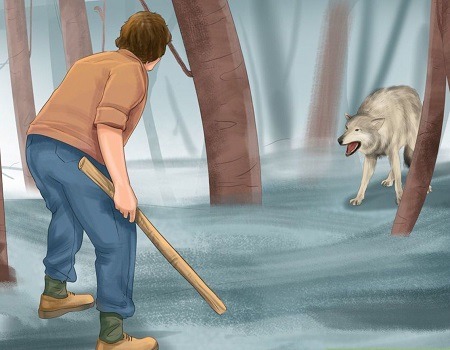 🐻  نکات نجات از حمله حیوانات در طبیعت 1