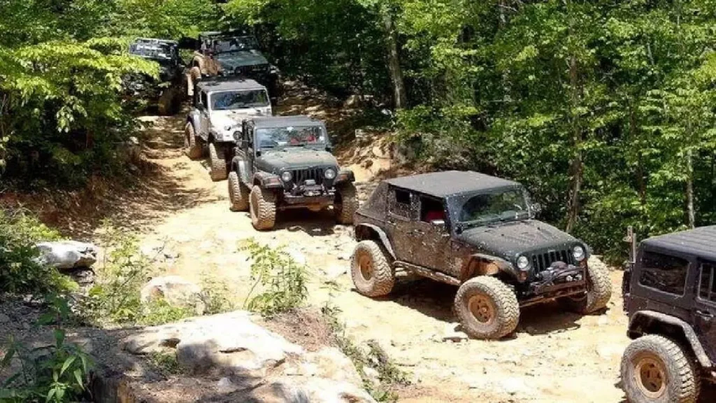 🚙 آفرود در جنگل گلستان: چالش‌ها و زیبایی‌ها