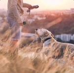 دورکننده سگ سانان گرین لاین مدل GL1